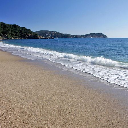 A Deux Pas De La Plage De Sable Le Pradet Esterno foto